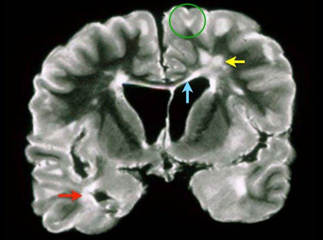 Nhấp để xem phóng to