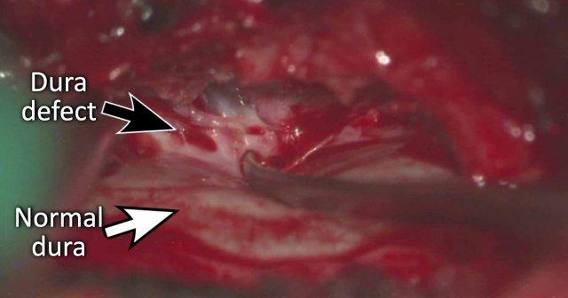 courtesy Peter Vandertop