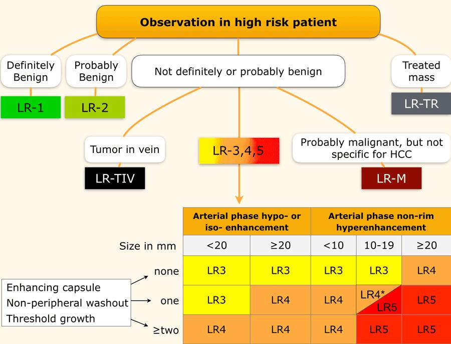 L4*/L5: enhancing capsule is L4. Non-peripheral washout or threshold growth is L5.